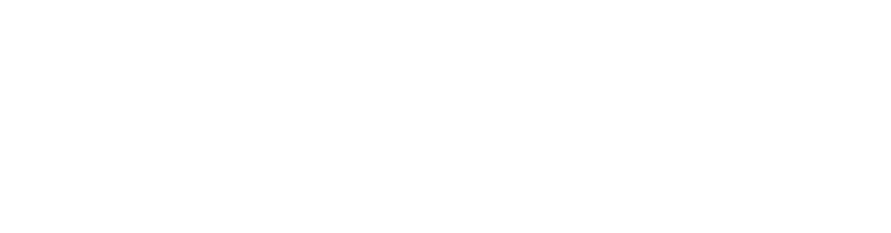 Nexen Logo